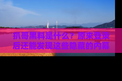 扒哥黑料是什么？原来登录后还能发现这些隐藏的内幕！