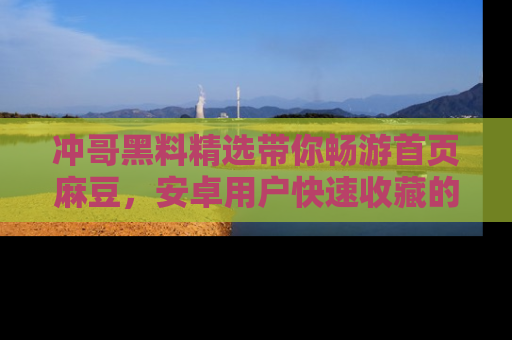 冲哥黑料精选带你畅游首页麻豆，安卓用户快速收藏的秘密武器！