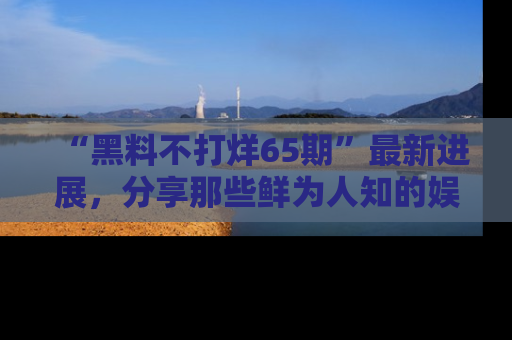 “黑料不打烊65期”最新进展，分享那些鲜为人知的娱乐八卦