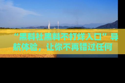 “黑料社黑料不打烊入口”导航体验，让你不再错过任何精彩黑料
