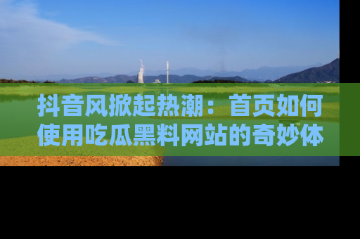 抖音风掀起热潮：首页如何使用吃瓜黑料网站的奇妙体验