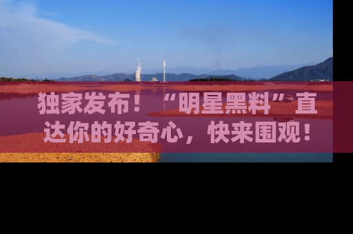 独家发布！“明星黑料”直达你的好奇心，快来围观！