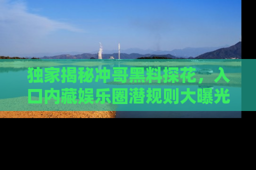 独家揭秘冲哥黑料探花，入口内藏娱乐圈潜规则大曝光