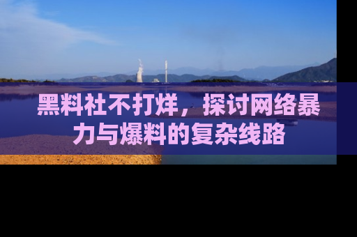 黑料社不打烊，探讨网络暴力与爆料的复杂线路