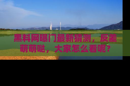 黑料网曝门最新猜测，反差萌萌哒，大家怎么看呢？