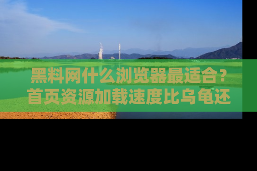 黑料网什么浏览器最适合？首页资源加载速度比乌龟还慢的体验真心吐槽！