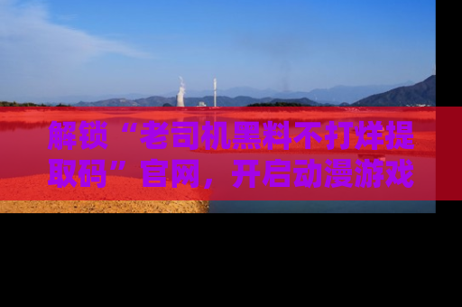 解锁“老司机黑料不打烊提取码”官网，开启动漫游戏的新次元之旅！