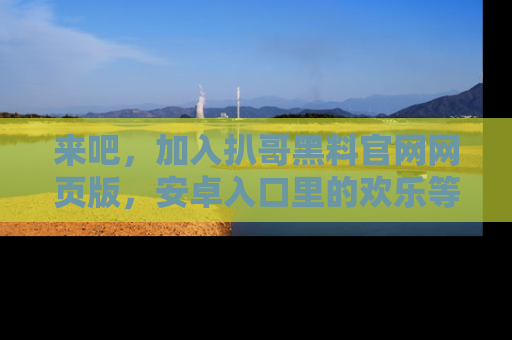 来吧，加入扒哥黑料官网网页版，安卓入口里的欢乐等着你！