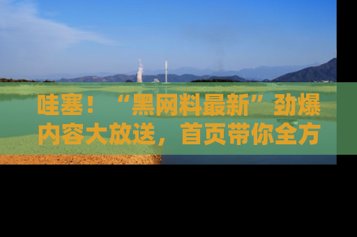 哇塞！“黑网料最新”劲爆内容大放送，首页带你全方位了解哦，小可爱们
