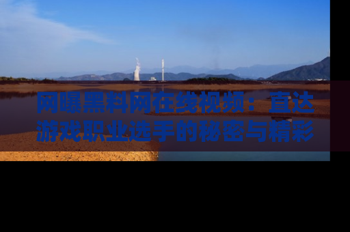 网曝黑料网在线视频：直达游戏职业选手的秘密与精彩动漫片段！