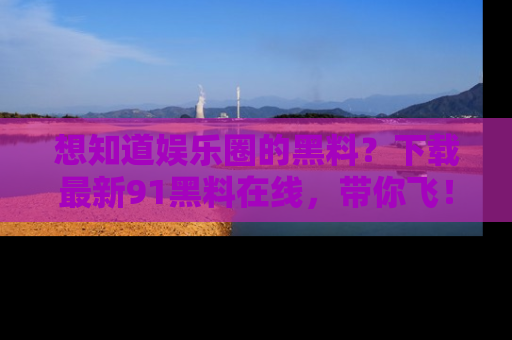 想知道娱乐圈的黑料？下载最新91黑料在线，带你飞！