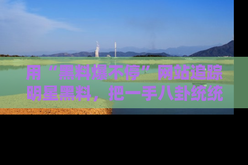 用“黑料爆不停”网站追踪明星黑料，把一手八卦统统收进你的后宫中！