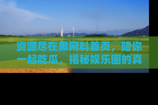 资源尽在黑网料首页,陪你一起吃瓜,揭秘娱乐圈的真实内幕