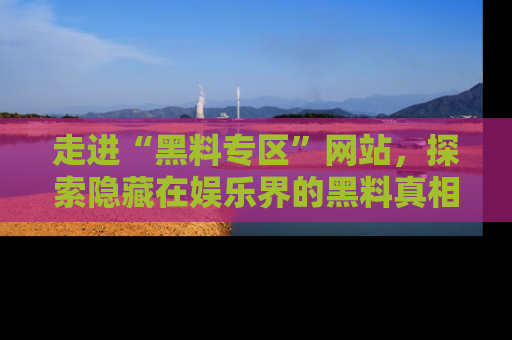 走进“黑料专区”网站,探索隐藏在娱乐界的黑料真相